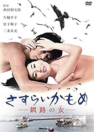 Wandering Seagull: Night in Kushiro (1973) poster