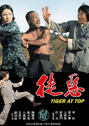 Tigers at the Top (1975) poster
