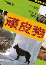 Funny People Taiwanese Movie photo