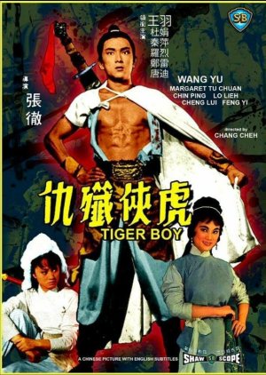 Tiger Boy (1966) poster