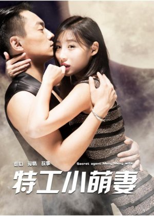 Secret Agent and His Beautiful Wife (2018) poster