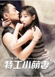 Secret Agent and His Beautiful Wife chinese drama review