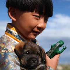 The Line Taiwanese Movie(2012) photo