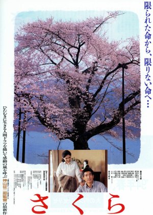 Cherry Blossoms (1994) poster