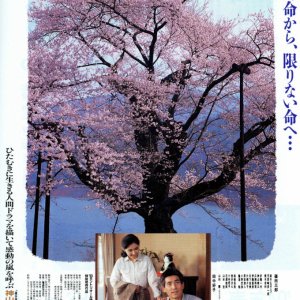Cherry Blossoms (1994)