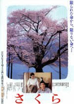 Cherry Blossoms Japanese Movie photo