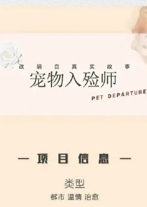 Pet Departures () poster