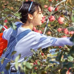 Yi Qi Zhui Guang Ba Chinese TV Program photo