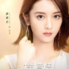 Plot Love Chinese Drama photo
