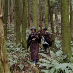 Map Without Island Korean Movie photo