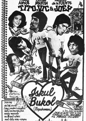 Freshmen (1980) poster