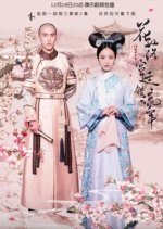 The Flowers Filled the Palace and Missed the Time Season 2 Chinese Drama photo