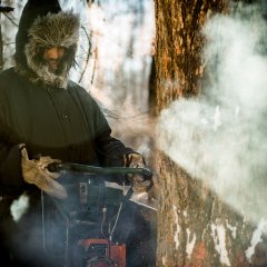 Anima Chinese Movie photo