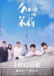 Fighting Girl chinese drama review