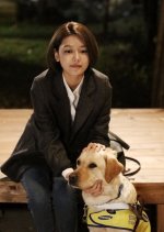 Perfect Sense Korean Drama photo