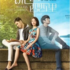 Never Said Goodbye Chinese Movie photo