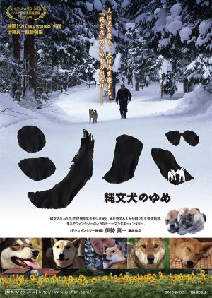 Shiba Dreaming of Jomon Dogs (2014) poster