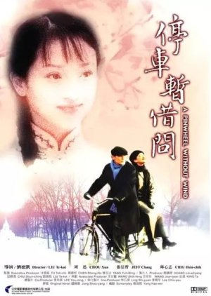 A Pinwheel Without Wind (2002) poster