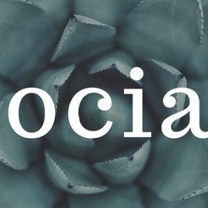 Kamisama no Boto  (2013)