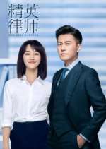 The Best Partner Chinese Drama photo