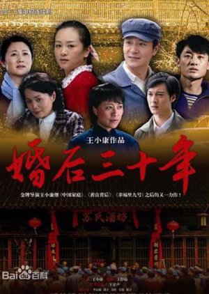 Thirty Years After Marriage (2009) poster