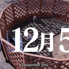 Hamura Akira - Sekai de Mottomo Fuunna Tantei Japanese Drama photo