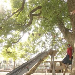 Totto TV Japanese Drama photo