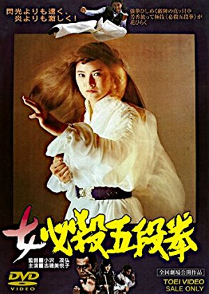 Sister Street Fighter: Fifth Level Fist (1976) poster