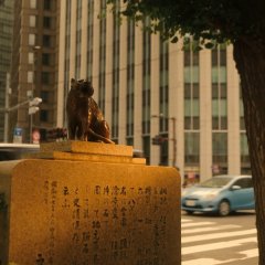 Hanasaki Mai Speaks Out Japanese Drama(2024) photo