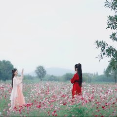 General, Can I Sleep with You? Chinese Movie(2021) photo