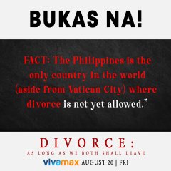Divorce: As Long As We Both Shall Leave Philippines Movie photo