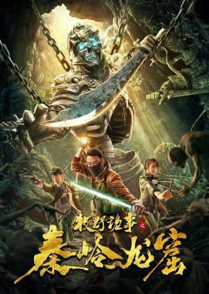 Qin Ridge Dragon Cave (2020) poster