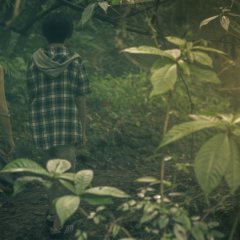 Wild Sparrow Taiwanese Movie photo