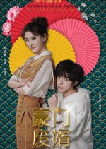 The Secret about the Son in Law Chinese Drama photo