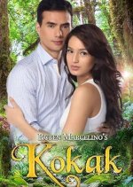 The Frog Princess Philippines Drama photo