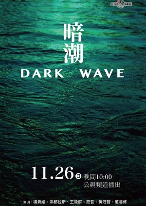 Life Story: Dark Wave (2023) poster