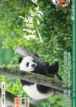 Panda's Family Pilot Chinese TV Program photo