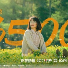 To the Wonder Chinese Drama photo