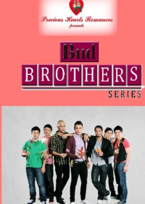 Precious Hearts Romances Presents: Bud Brothers (2009) poster