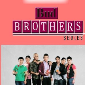 Precious Hearts Romances Presents: Bud Brothers Series (2009)