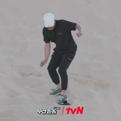 Busan Boys: Sydney Bound Korean TV Program photo