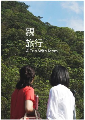A Trip with Mom (2016) poster