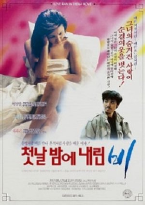 The Rain On The First Night (1991) poster