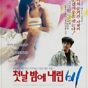The Rain On The First Night (1991)