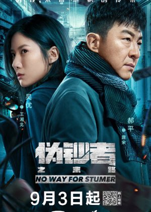 No Way For Stumer (2019) poster