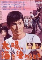 Where The Horizon Meets The Sun Japanese Movie photo