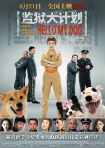 Hello My Dog Chinese Movie photo