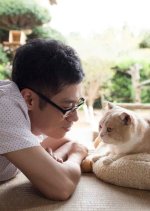 Neko Atsume no Ie Japanese Movie photo