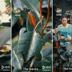 Psychic Princess Season 2 Chinese Drama photo