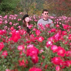 Dolls Japanese Movie photo